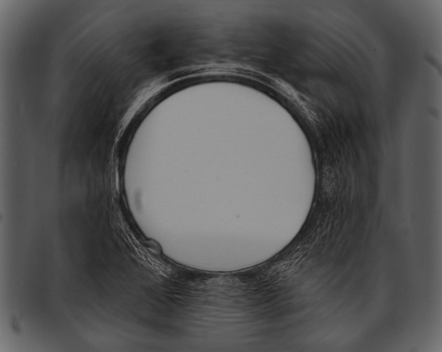 X0000097491368200803201521