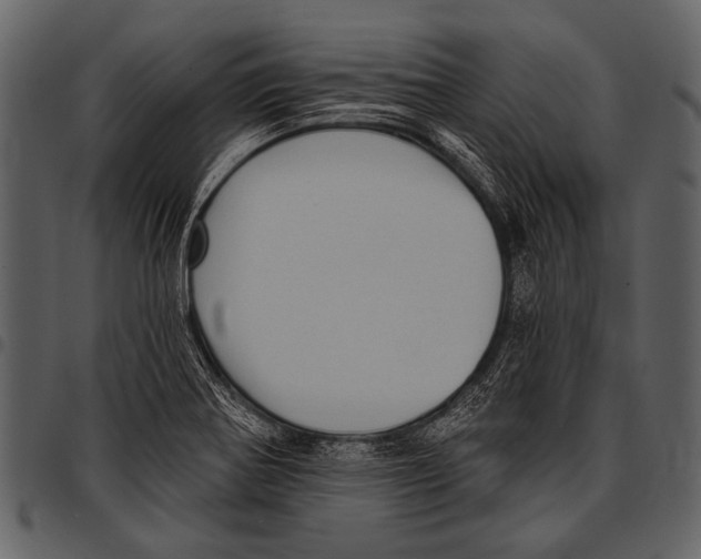 X0000097491370200803201521