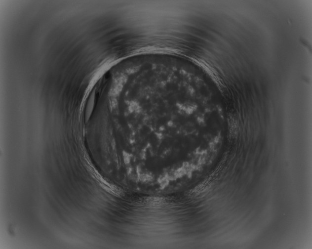 X0000097491371200803201521