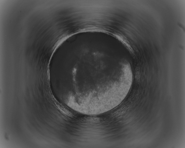 X0000097491372200803201521