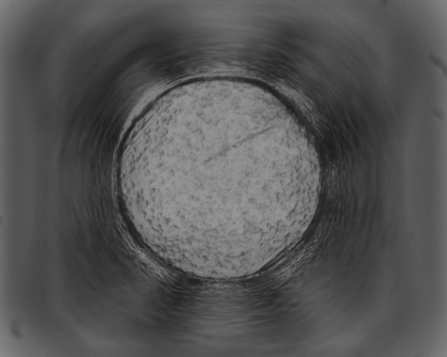 X0000097491374200803201521