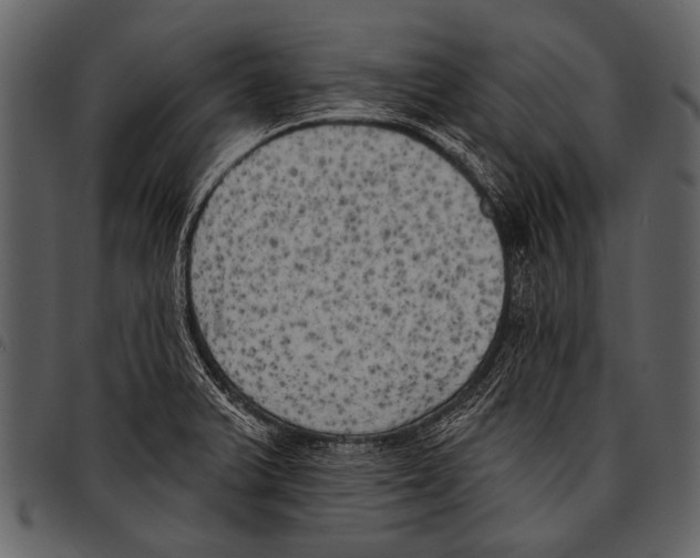 X0000097491375200803201521