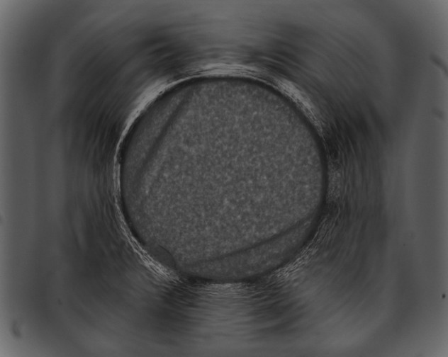 X0000097491376200803201521