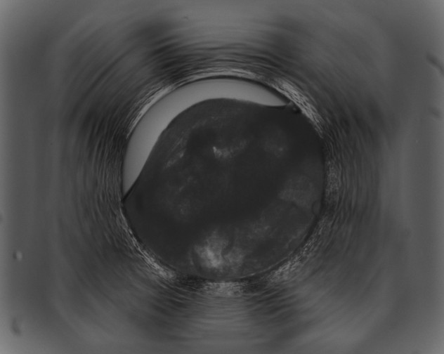 X0000097491377200803201521