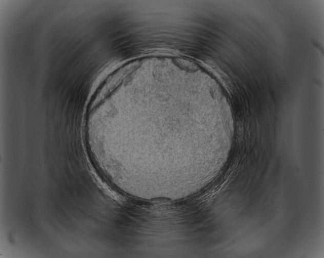 X0000097491379200803201521