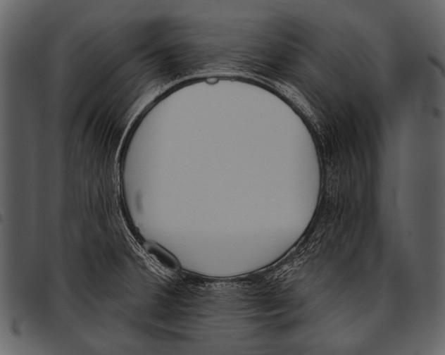 X0000097491380200803201521