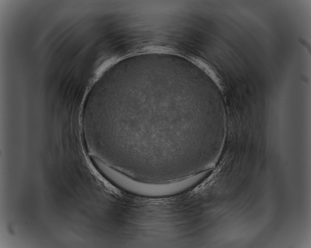 X0000097491381200803201521