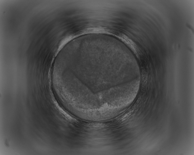 X0000097491382200803201521