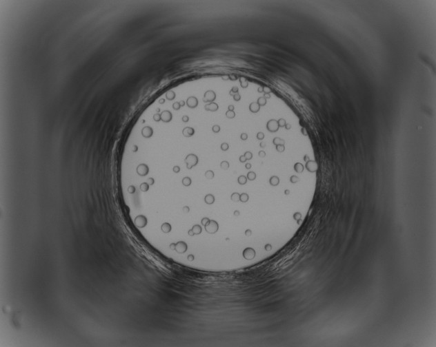 X0000097491384200803201521