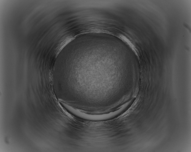 X0000097491385200803201521