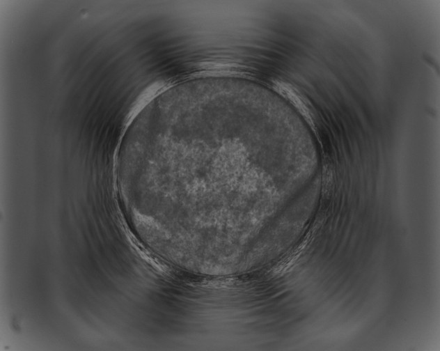 X0000097491386200803201521