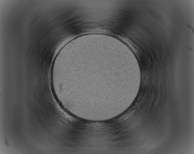 X0000097491387200803201521