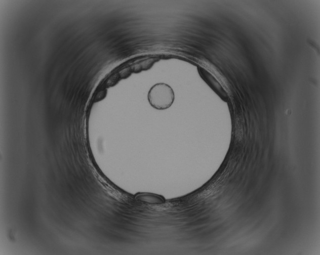 X0000097491388200803201521