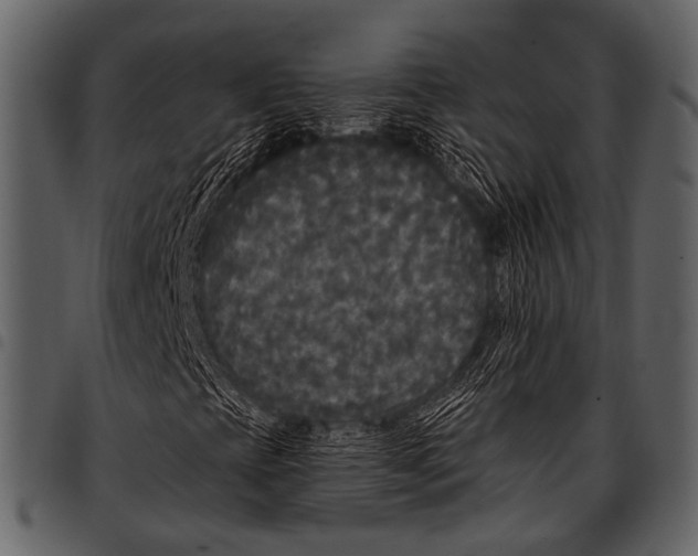 X0000097491393200803201520