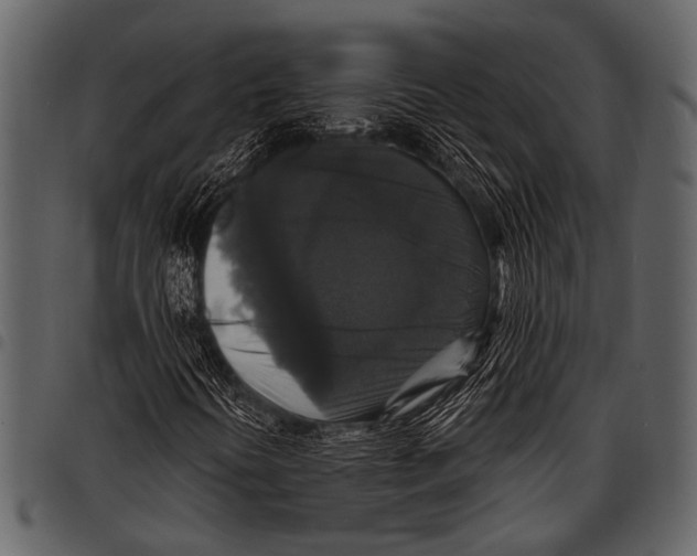 X0000097491394200803201520