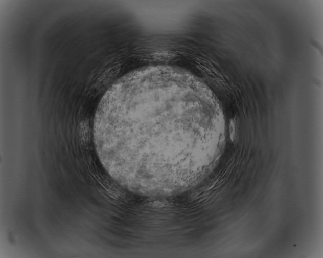 X0000097491395200803201520