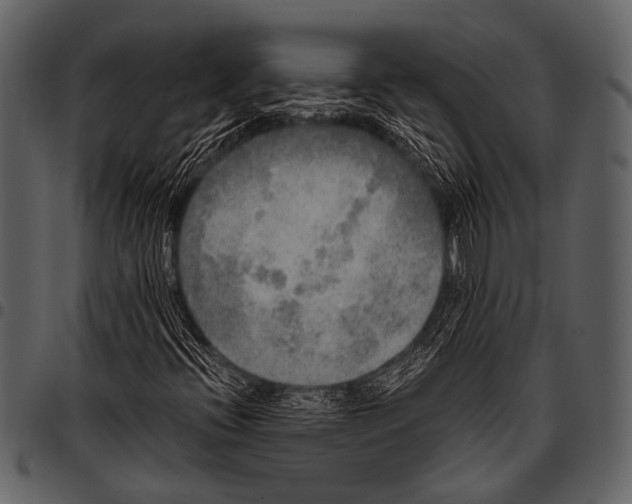 X0000097491396200803201520