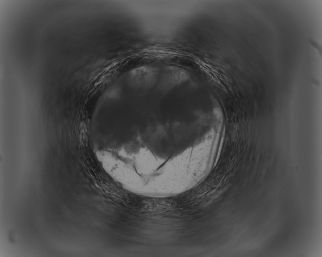 X0000097491397200803201520