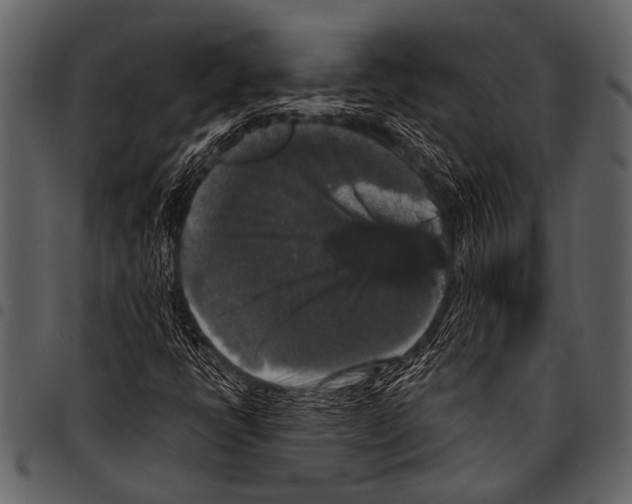 X0000097491398200803201520