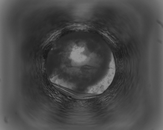 X0000097491399200803201520