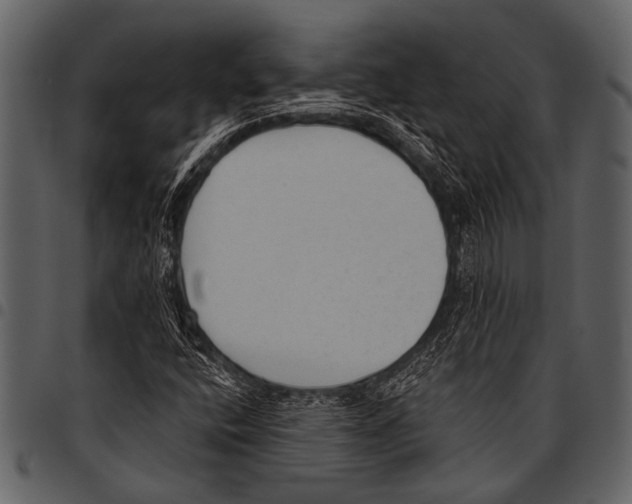 X0000097491400200803201520