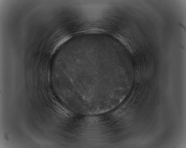 X0000097491402200803201521