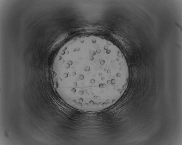 X0000097491403200803201521