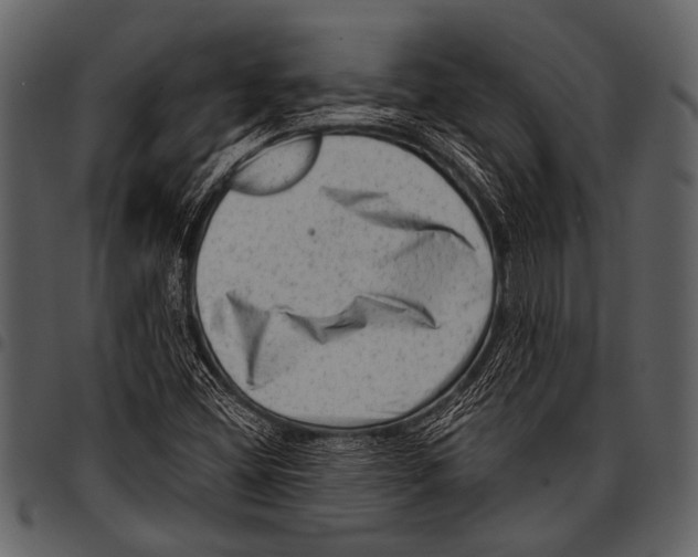 X0000097491404200803201521