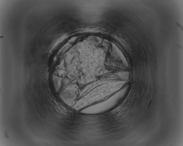 X0000097491406200803201521