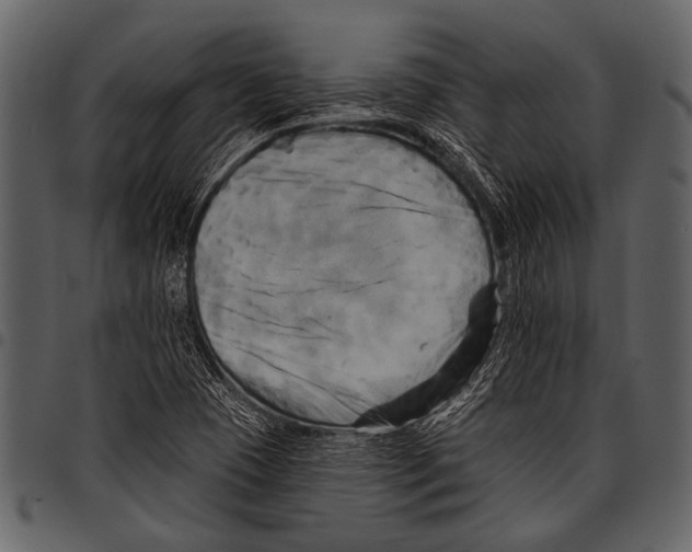 X0000097491409200803201521