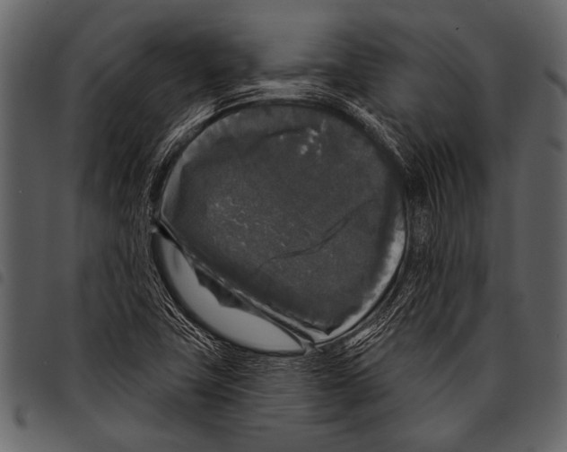 X0000097491411200803201521