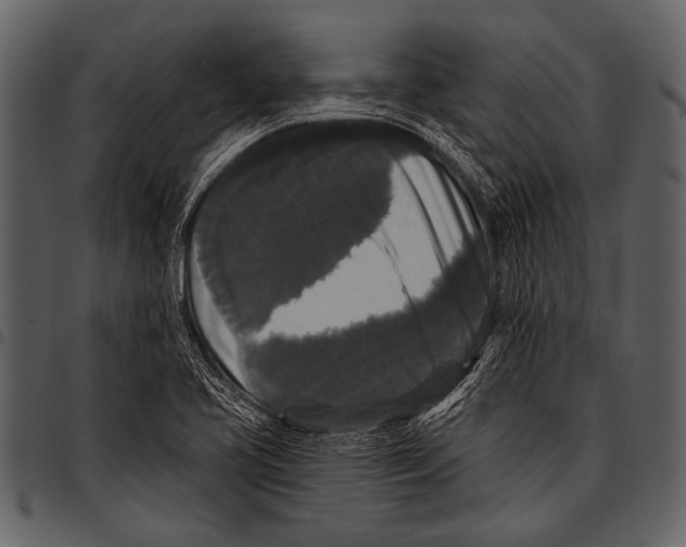 X0000097491413200803201521