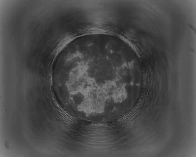 X0000097491415200803201521