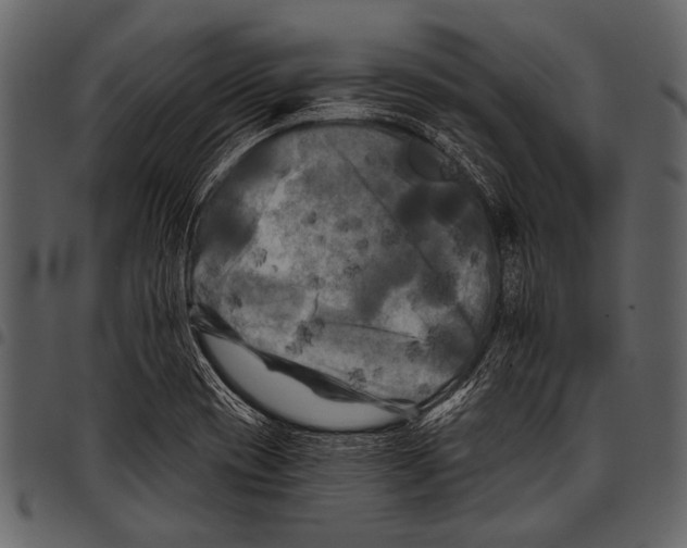 X0000097491417200803201521