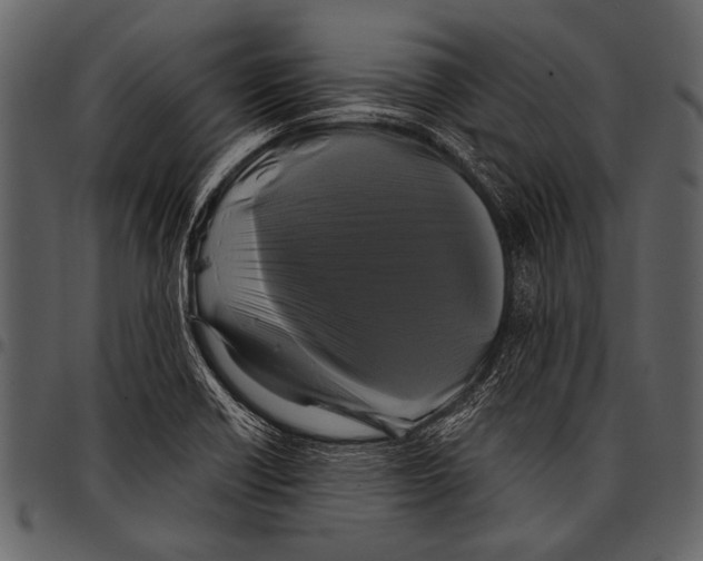 X0000097491418200803201521