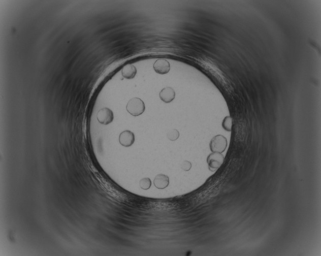 X0000097491420200803201521