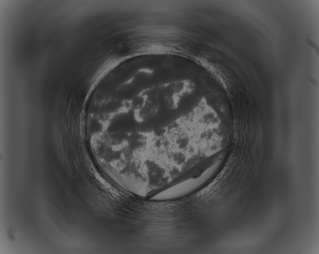 X0000097491421200803201521