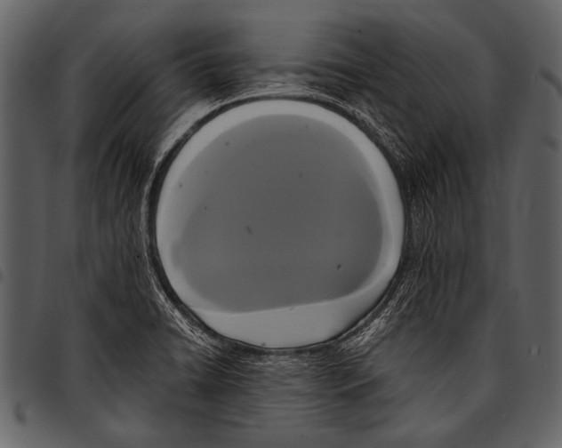 X0000097491422200803201521