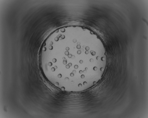 X0000097491423200803201521