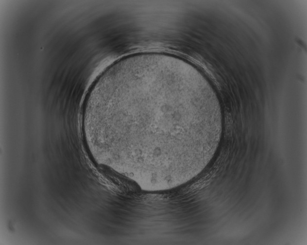 X0000097491424200803201521