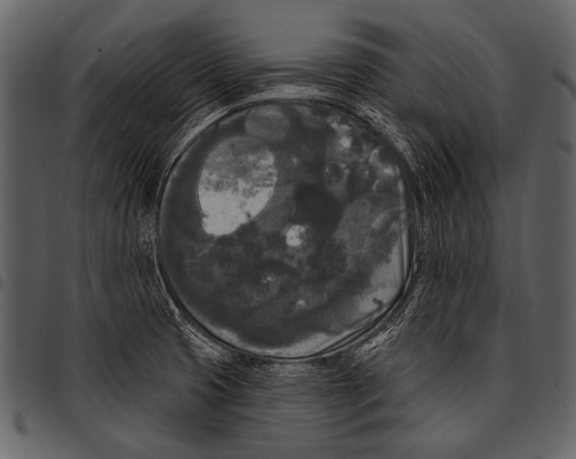 X0000097491425200803201521