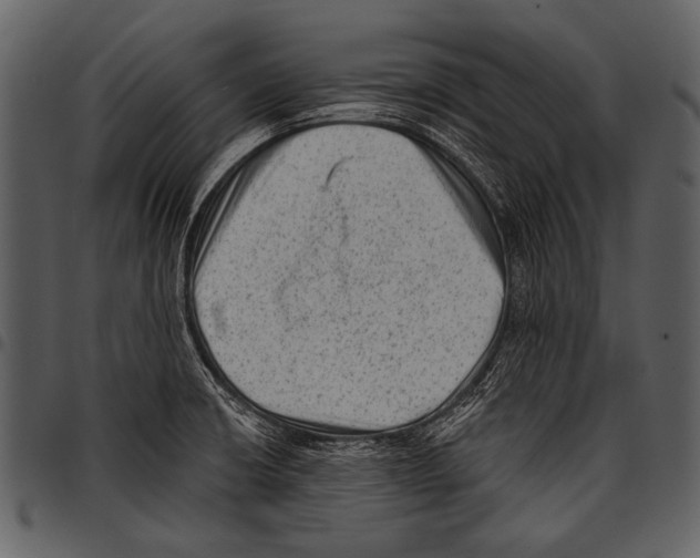 X0000097491426200803201521