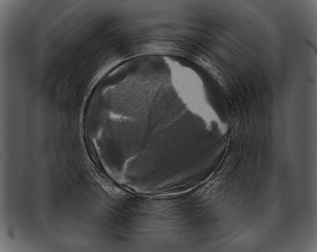 X0000097491427200803201521