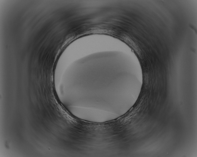 X0000097491428200803201521