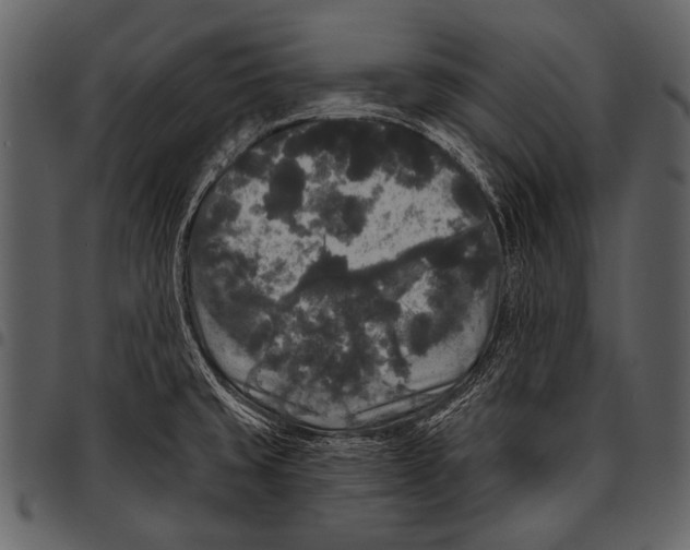 X0000097491429200803201521