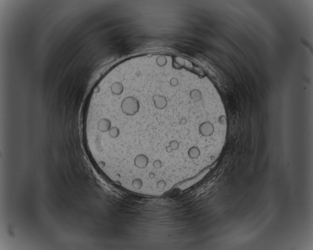 X0000097491430200803201521