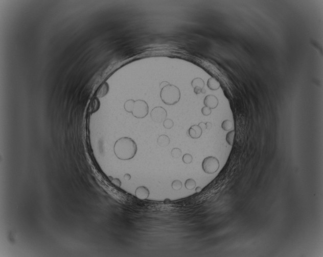 X0000097491431200803201521