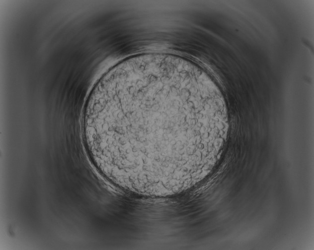 X0000097491432200803201521