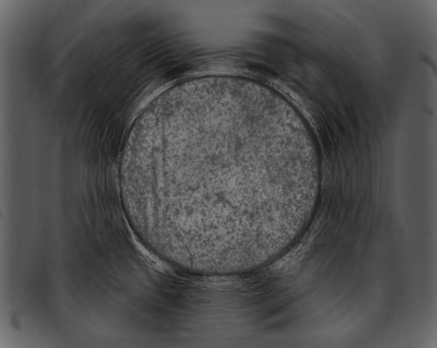 X0000097491433200803201521