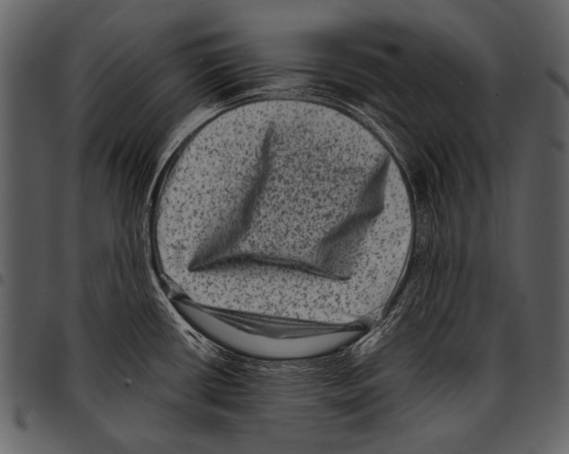 X0000097491434200803201521